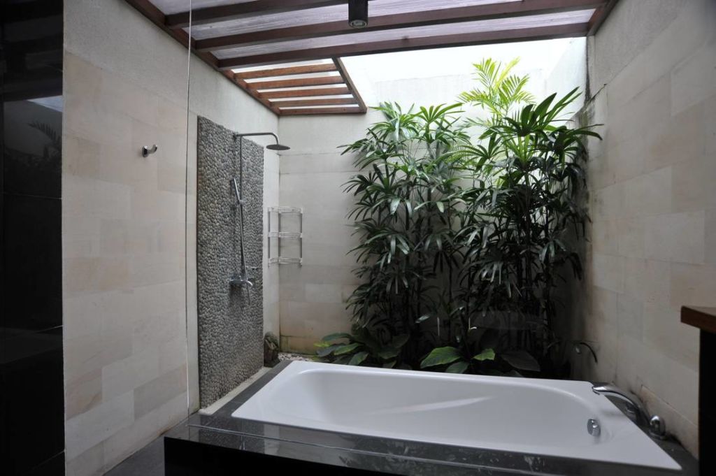 Растения добавят любой ванной свежести и разнообразят интерьер