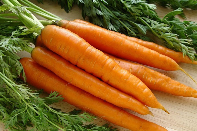 Посадка моркови весной в открытый грунт семенами. Лучшие сорта моркови и способы посадки