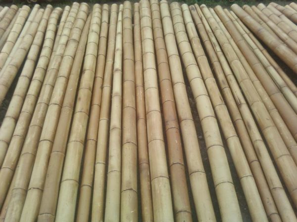 Бамбуковые заготовки