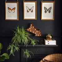 Три бабочки на модульных картинах
