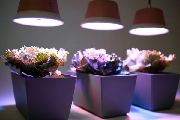 Подсветка вазонов лампами LED