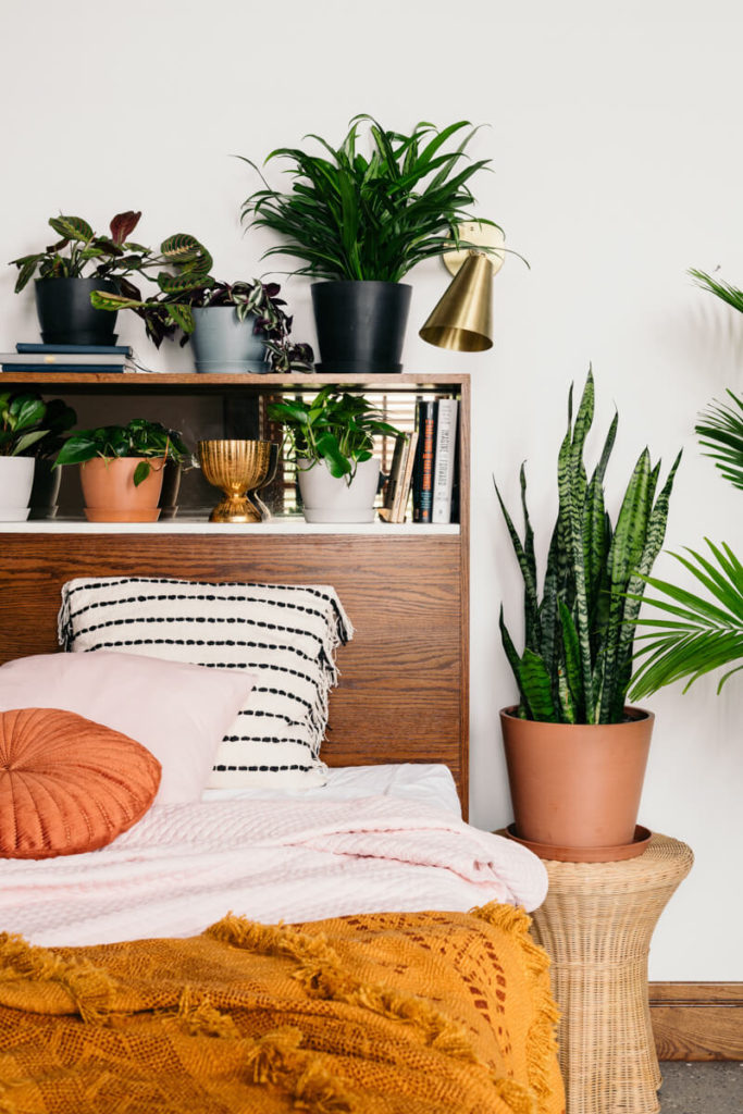 Почему нельзя держать комнатные растения в спальне?