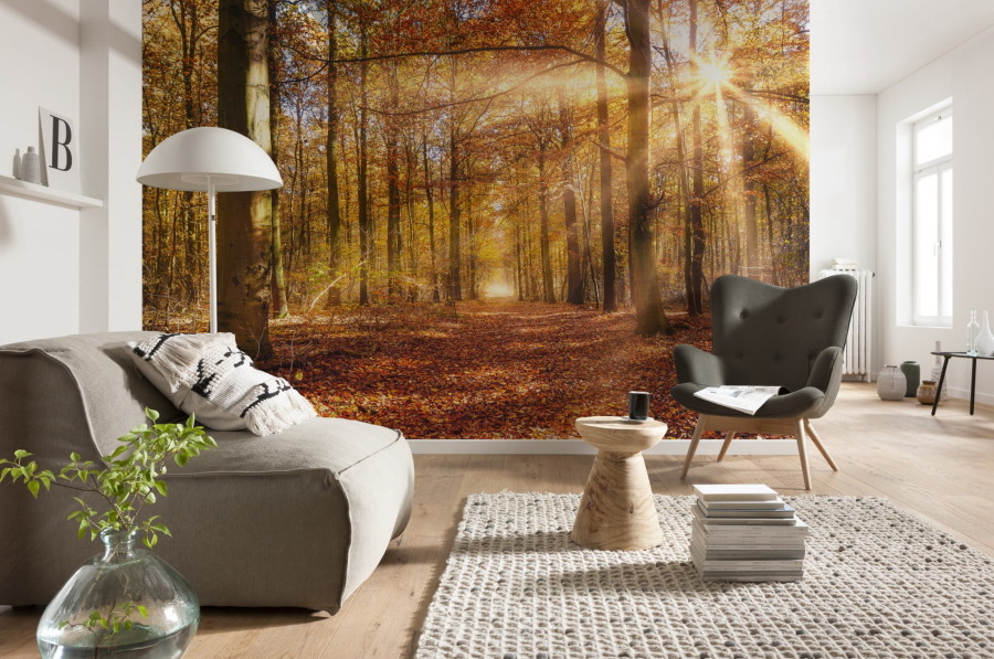 Фотообои осенний лес в оформлении гостиной комнаты