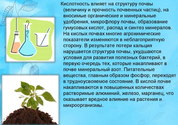 Кислотность почвы для растений. Таблица для домашних, огорода, сада