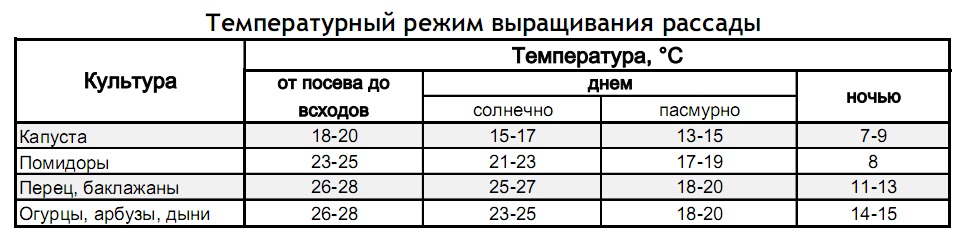 Какую температуру выдерживают помидоры в открытом грунте ночью – все о томатах. выращивание томатов. сорта и рассада.