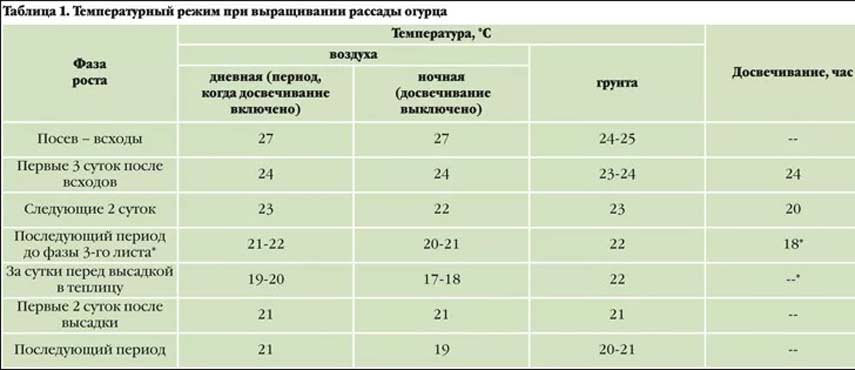 При какой температуре выращивать рассаду томатов