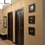 Темные двери в интерьере квартиры: Топ современных фото и идей