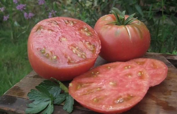 tomat-mikado-rozovyj-chernyj-zolotoj-i-drugie-opisanie-i-harakteristika-sortov